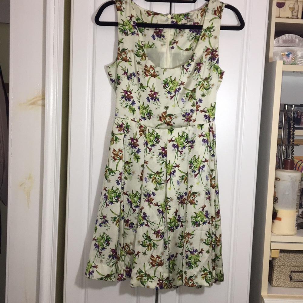 BB Dakota Floral Dress, Ivory and Green, size 2